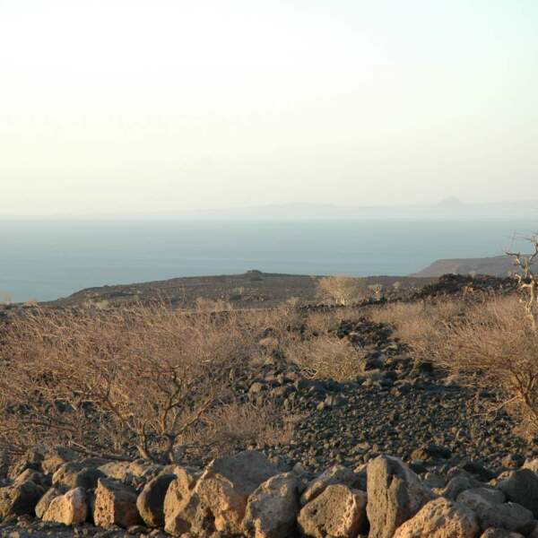 Motorradreisen Afrika Delfin Safari Umgebung